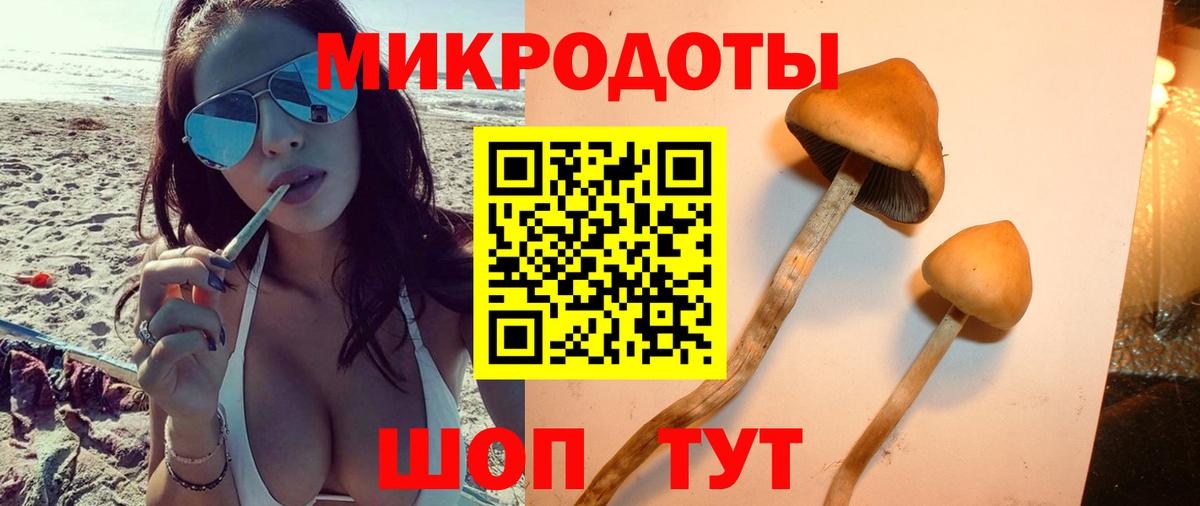 Псилоцибиновые грибы Magic Shrooms Магнитогорск